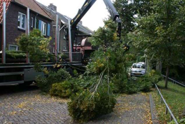 Oostburg bomen rooien