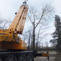 images/019sluishill/Bomen rooien en kapen in Zierikzee-200x200-d5a
