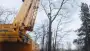 images/019sluishill/Bomen rooien en kapen in Zierikzee-90x51-2f8