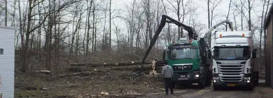 images/019sluishill/bomen kappen Turnhout-550x197-ae1
