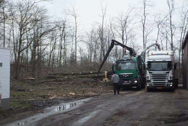 invoeren van takken en boomstammen in de versnipperaar. deze machine vermaald de bomen van een doorsnee 85 cm tot houtchips 1 tot 4 cm