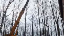 images/019sluishill/bomen rooien en kappen en Middelburg-210x118-a76