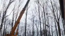 images/019sluishill/bomen rooien en kappen en Middelburg-257x145-4f2