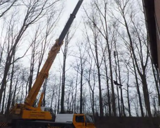 images/019sluishill/bomen rooien en kappen en Middelburg-530x424-4bb