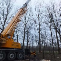 images/019sluishill/bomen rooien en kappen in Goes-200x200-d5a