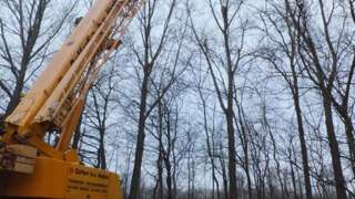 images/019sluishill/bomen rooien en kappen in Goes-320x180-b58