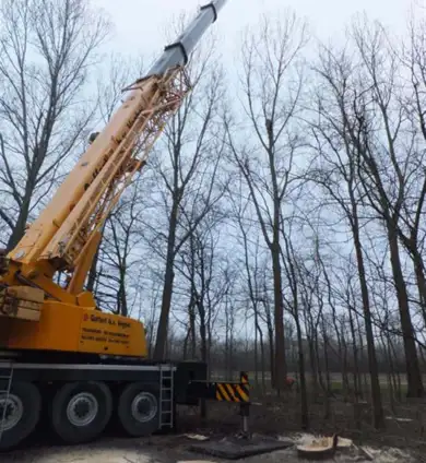 images/019sluishill/bomen rooien en kappen in Goes-390x424-859