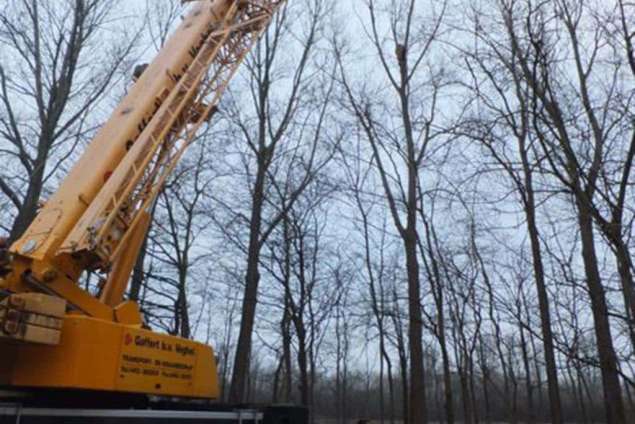 bomen rooien vellen
