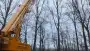 images/019sluishill/bomen rooien en kappen in Goes-90x51-2f8