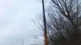 images/019sluishill/bomen rooien en kappen in terneuzen-160x90-be2