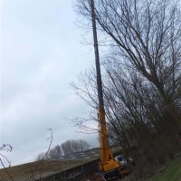 images/019sluishill/bomen rooien en kappen in terneuzen-200x200-d5a
