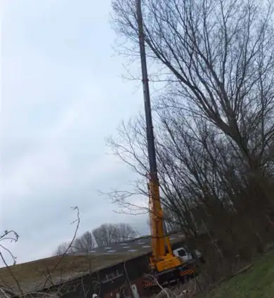 images/019sluishill/bomen rooien en kappen in terneuzen-390x424-859