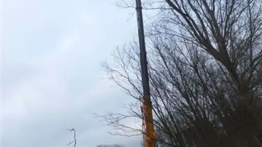 images/019sluishill/bomen rooien en kappen in terneuzen-510x287-b99
