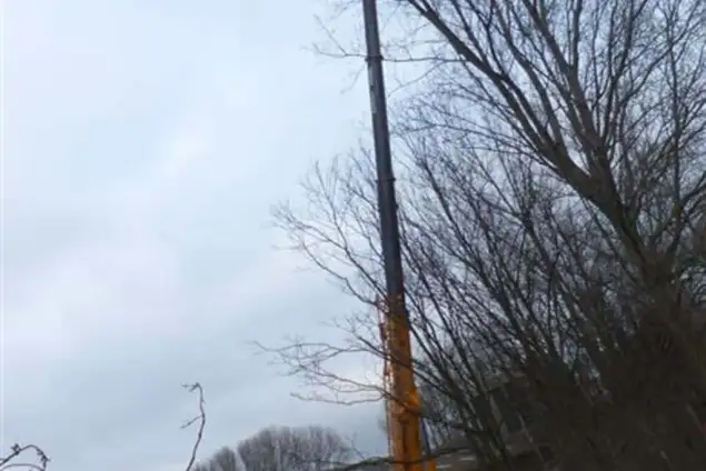 images/019sluishill/bomen rooien en kappen in terneuzen-635x424-86c