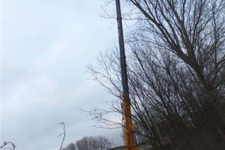 images/019sluishill/bomen rooien en kappen in terneuzen-750x500-11f