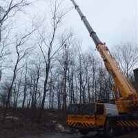 images/019sluishill/bomen rooien en kappen in tolen-200x200-d5a