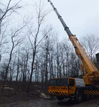 images/019sluishill/bomen rooien en kappen in tolen-390x424-859