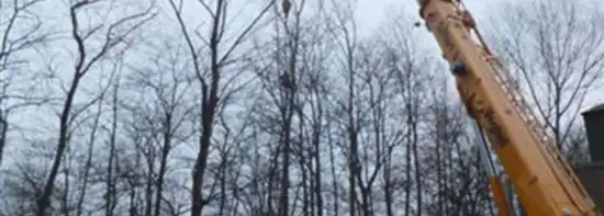 images/019sluishill/bomen rooien en kappen in tolen-550x197-e3c