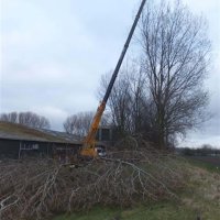 images/019sluishill/bomen rooien en kappen-200x200-d5a