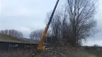 images/019sluishill/bomen rooien en kappen-210x119-b2b