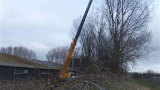 bomen rooien Hengevelde