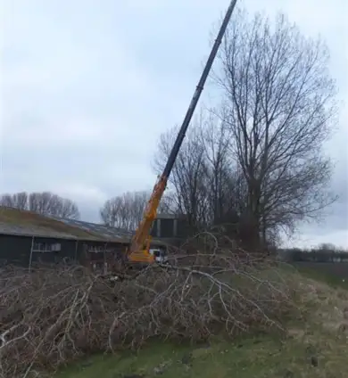 images/019sluishill/bomen rooien en kappen-390x424-859