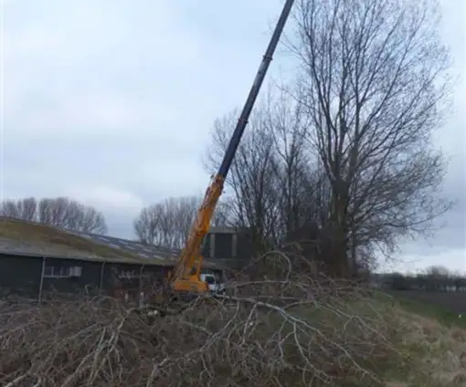 images/019sluishill/bomen rooien en kappen-510x424-343