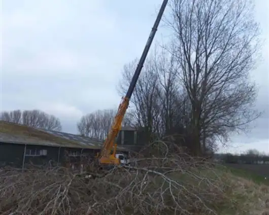 images/019sluishill/bomen rooien en kappen-530x424-4bb