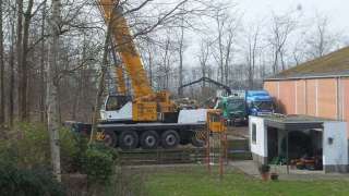 versnipperen bomen in Zeeuws Vlaanderen deze versnipperaar kan bomen aan tot 85 cm doorsnee, de houtchips worden gebruikt voor de spaanplaatindustrie en voor biomassa