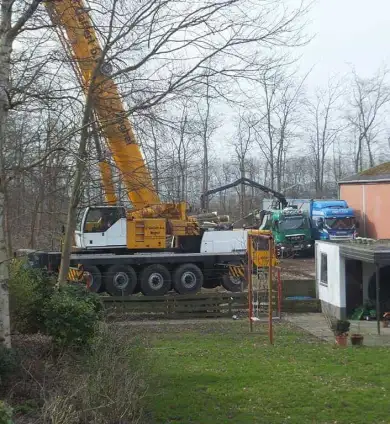 images/019sluishill/bomen rooien goes bomen vellen-390x424-75c