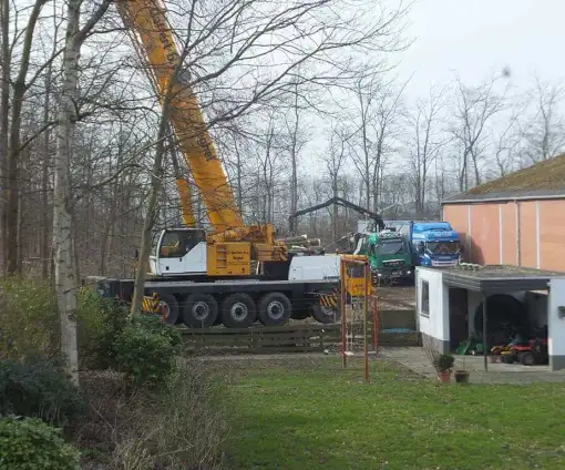 images/019sluishill/bomen rooien goes bomen vellen-510x424-0b2