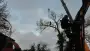 images/01roosendaal/01 bomen rooien slopen betaalbaar-90x51-2f8