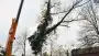 images/01roosendaal/11 bomen rooien Oss-90x51-37f
