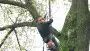 images/01roosendaal/4 Bomen rooien Zutphen-90x51-37f