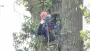 images/01roosendaal/7 bomen rooien Deventer-90x51-37f