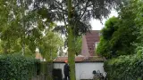 images/01roosendaal/bomen rooien bomen kappen bomen vellen bomen snoeien Steenbergen Etten-Leur-160x90-18d