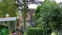 images/01roosendaal/bomen rooien hoe kap ik een groote boom in mijn achtertuin Someren Bernheze-90x51-37f