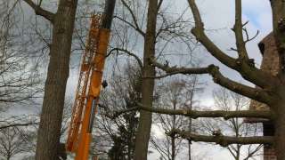 Retranchement bomen rooien