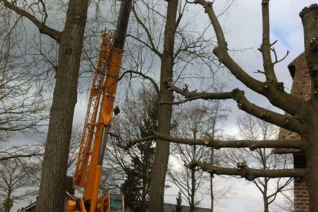 Retranchement bomen rooien