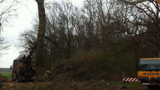 verwijderen van grote bomen in de tuin bij een woonboerderij