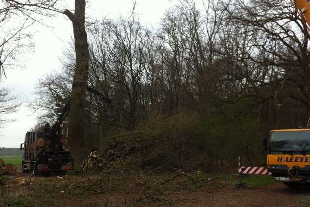 verwijderen van grote bomen in de tuin bij een woonboerderij