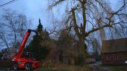 Bomen rooien Schoondijke