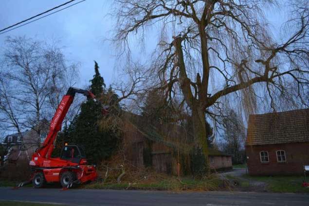 Bomen rooien Schoondijke