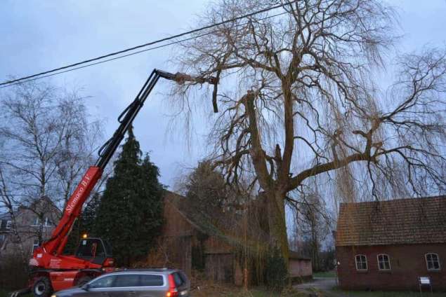 Bomen rooien Serooskerke Walcheren