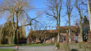 Serooskerke Walcheren bomen rooien