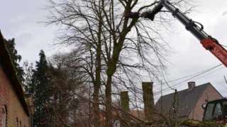 Schore bomen rooien