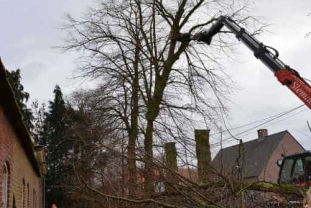 Schore bomen rooien