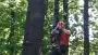 images/027 eikenboom kappen/Rooien van bomen Dongen-90x51-4f7