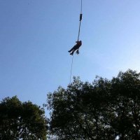 images/027 eikenboom kappen/bomen kappen Eindhoven-200x200-f01