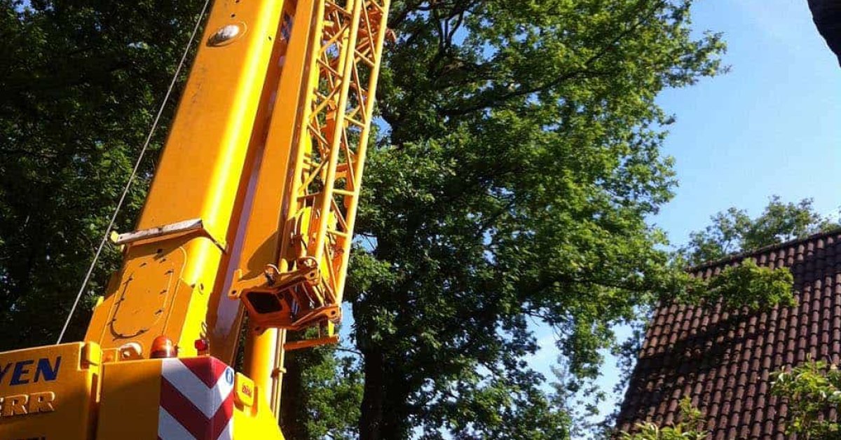 images/027 eikenboom kappen/bomen rooien met kraan-1200x628-62f